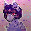 pony juno